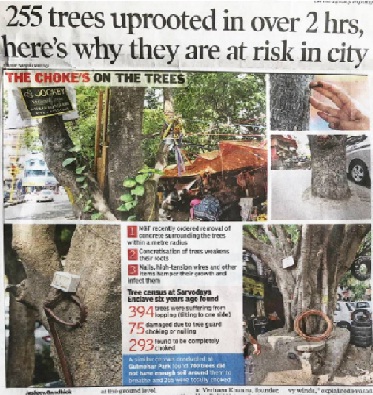 trees uprooted in over 2 hrs in delhi. help ndns expose the anti-environment activities. volunteer with us