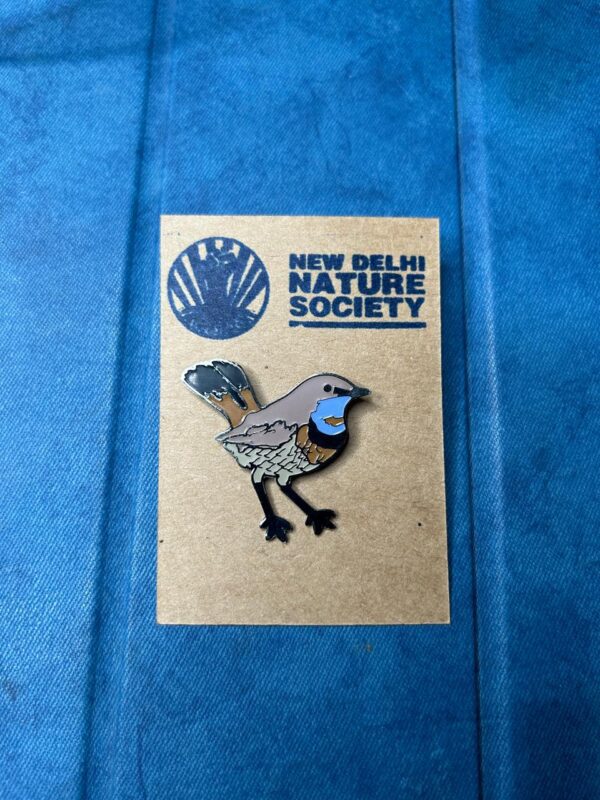 Bluethroat Lapel Pin