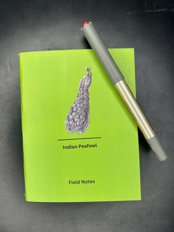 Indian Peafowl Diary