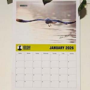 Wall Calendar