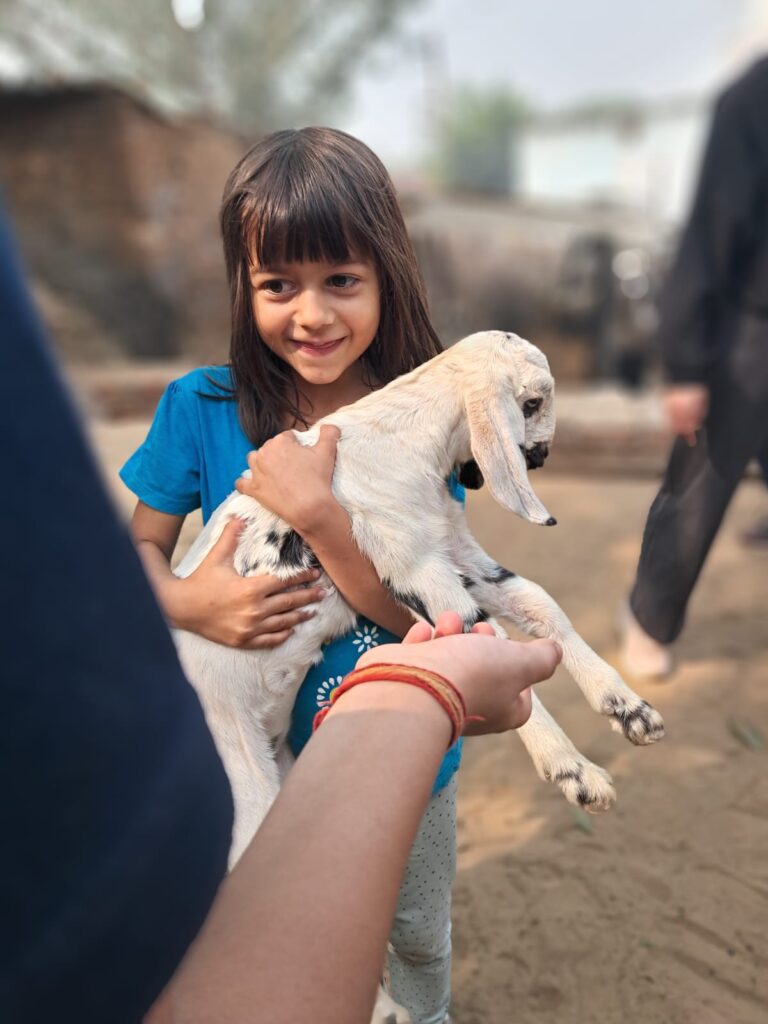 86cb8ce4-7e65-4a18-9b3f-f863f9cb6be9