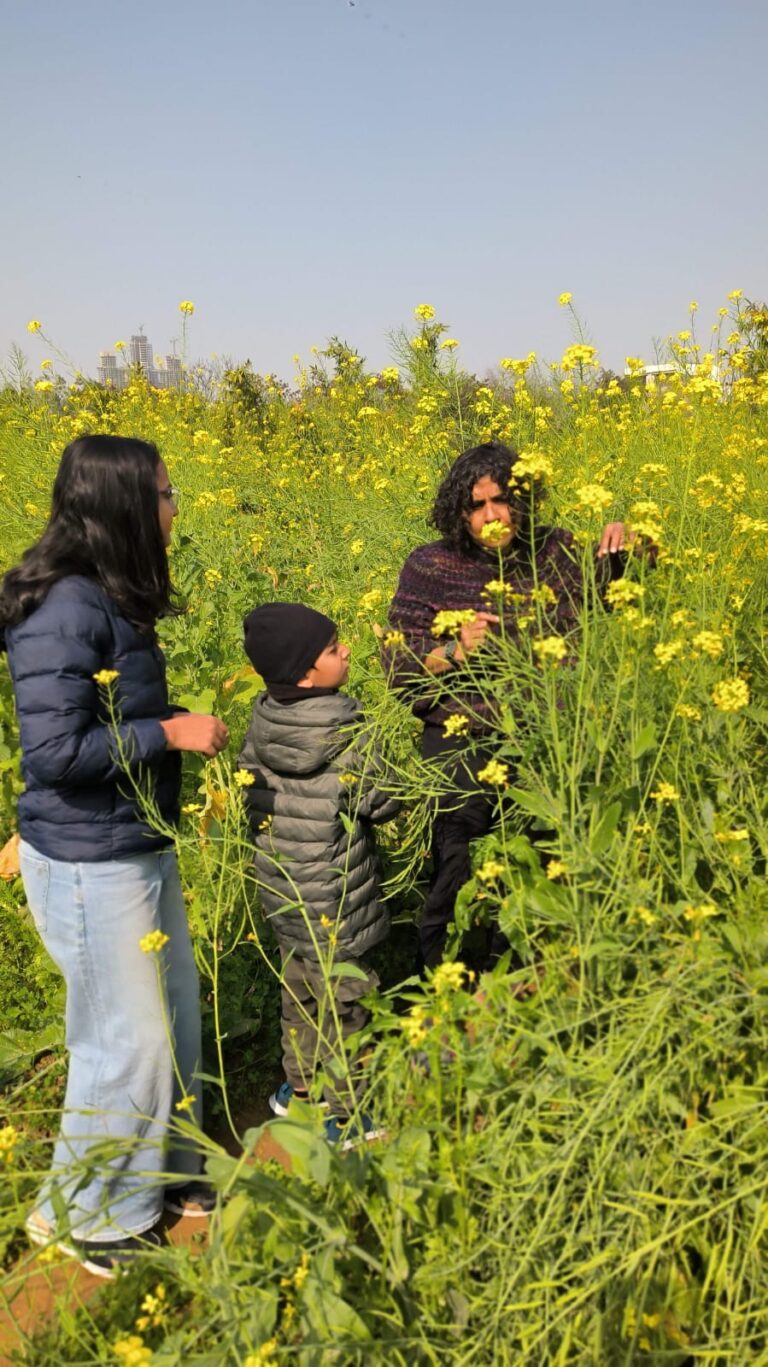 e44a69eb-9a87-45fb-9469-21de43eb13f3