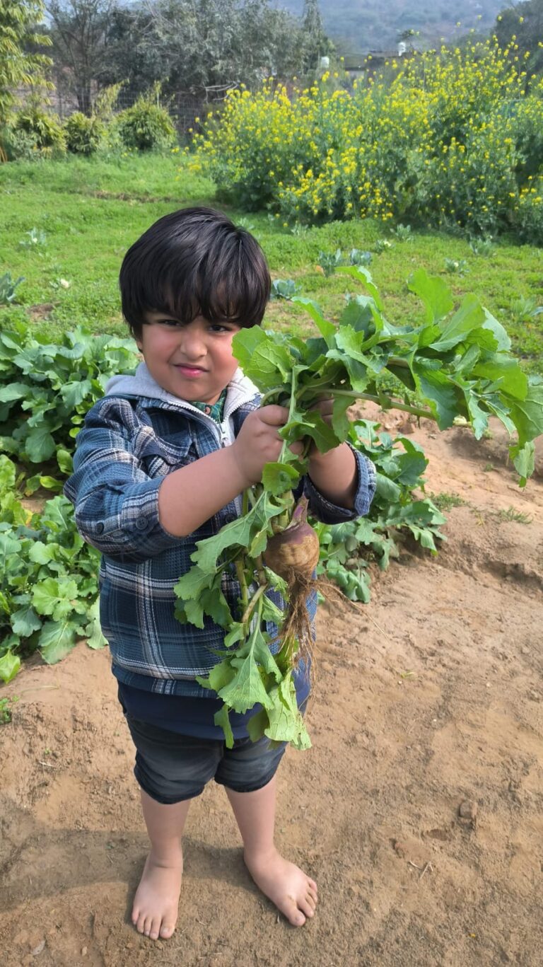 f907dd17-1976-4a46-91db-6a8979dbc4c8