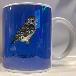 Spotted Owlet Mug
