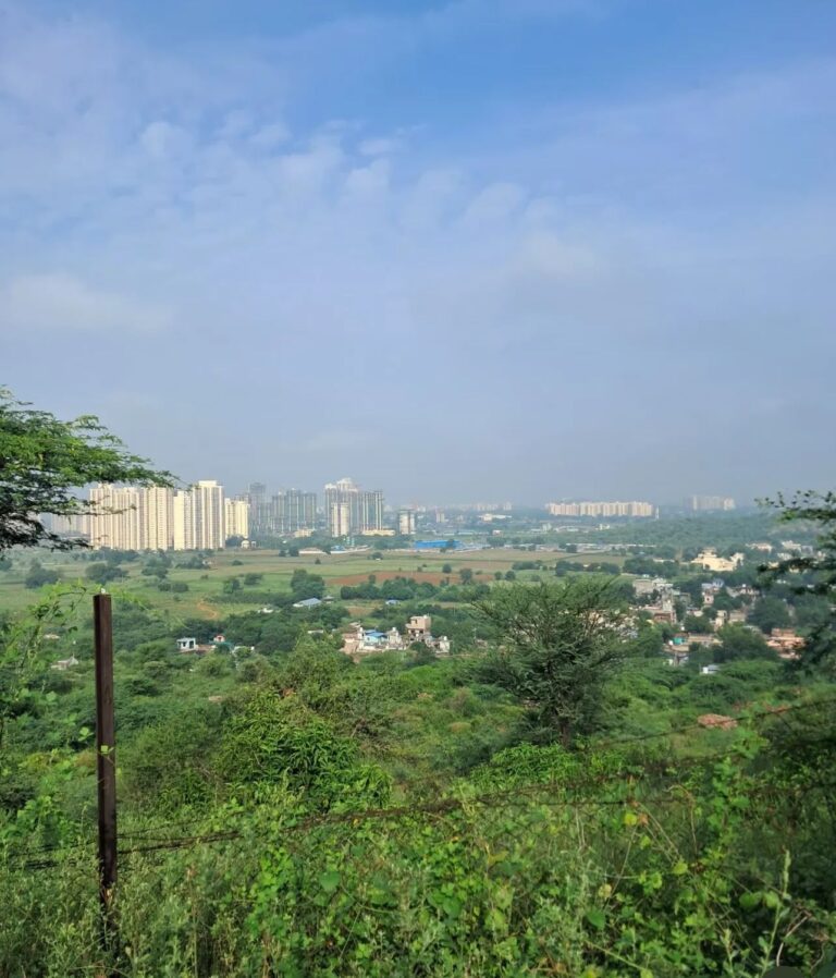 WhatsApp Image 2026-03-12 at 5.52.47 PM (1)