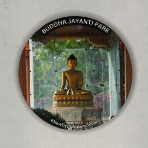 Buddha Jayanti Park, Fridge Magent