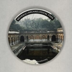 Mehrauli Archaeological Park Fridge Magnet