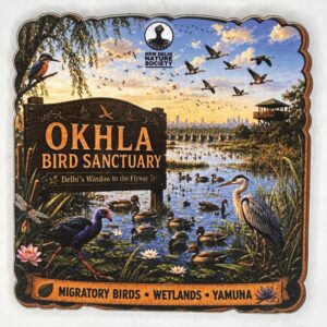 Okhla Bird Sanctuary Fridge Magnet (Square)