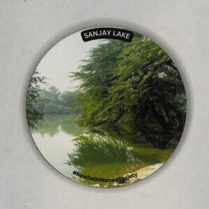 Sanjay Lake Fridge Magnet