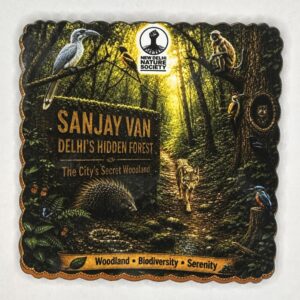 Sanjay Van Fridge Magnet (Square)