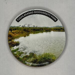 Tughlakabad Biodiversity Park Fridge Magnet