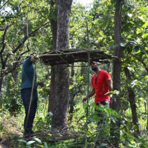 Building Shelter