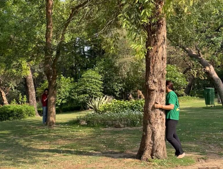Regulating our nervous system by hugging the trees